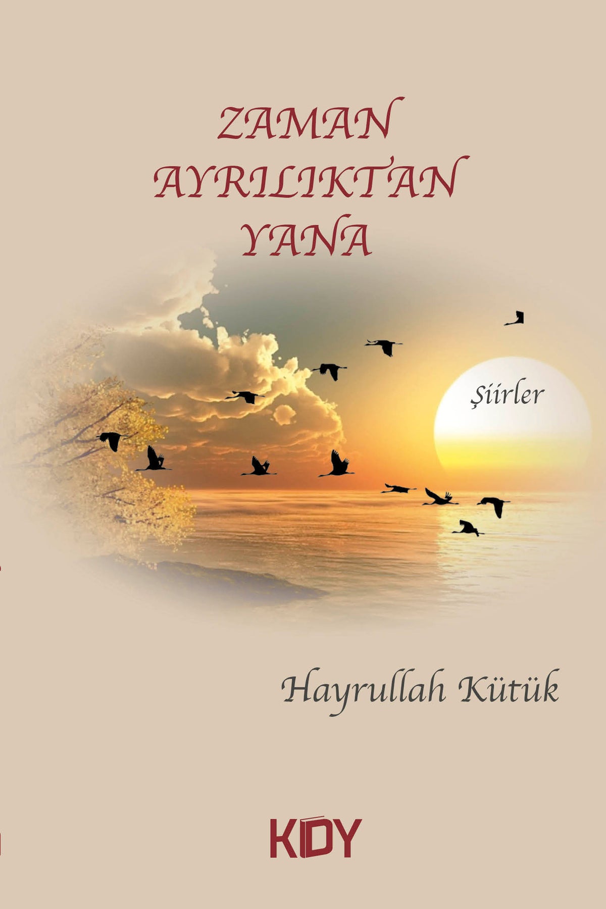 Zaman Ayrılıktan Yana - Hayrullah Kütük kitap kapağı