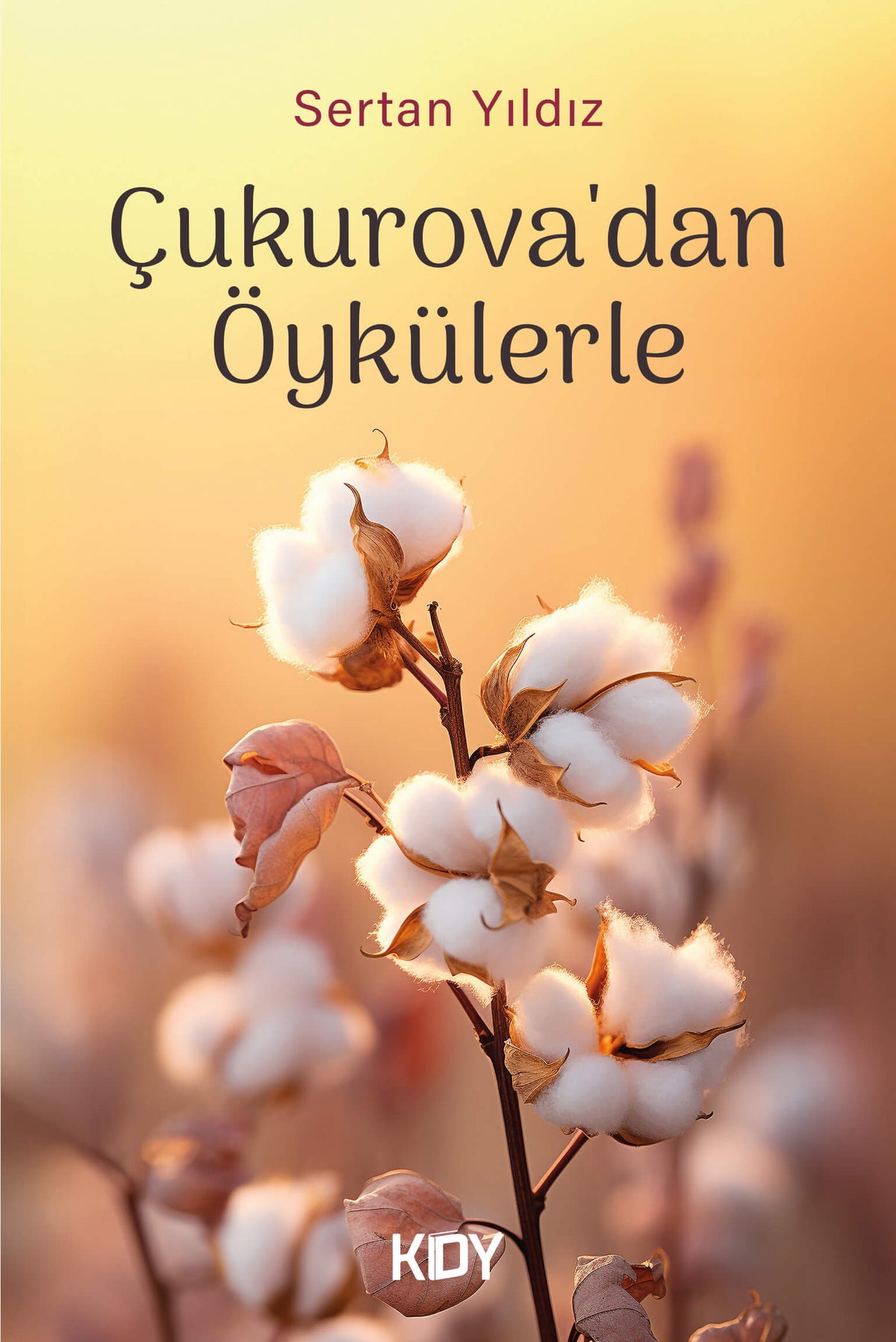 Çukurova'dan Öykülerle - Sertan Yıldız kitap kapağı