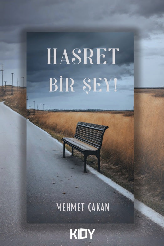 Hasret Bir Şey - Mehmet Çakan kitap kapağı