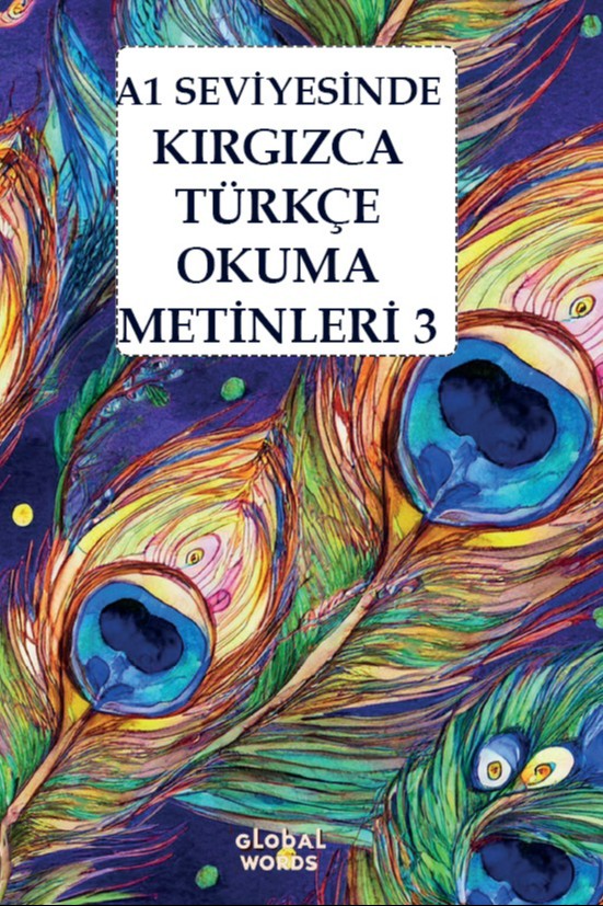 A1 Seviyesinde Kırgızca-Türkçe Okuma Metinleri 3 - Kolektif kitap kapağı