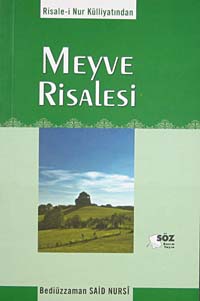 Meyve Risalesi / Orta Boy Cep - Bediüzzaman Said Nursi kitap kapağı