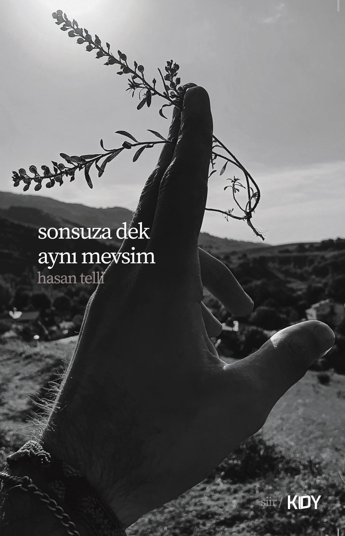 Sonsuza Dek Aynı Mevsim - Hasan Telli kitap kapağı