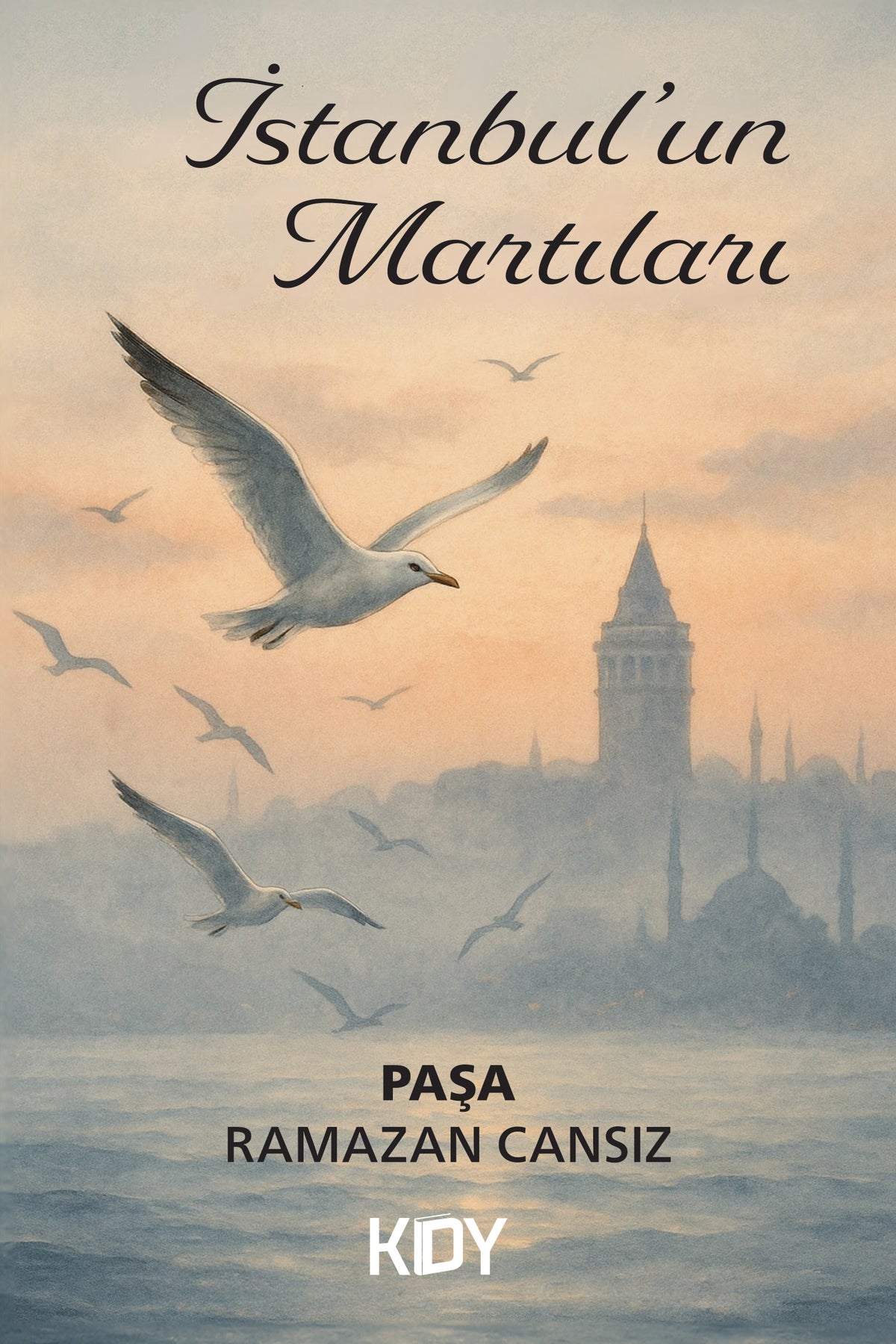 İstanbul'un Martıları - Ramazan Cansız kitap kapağı