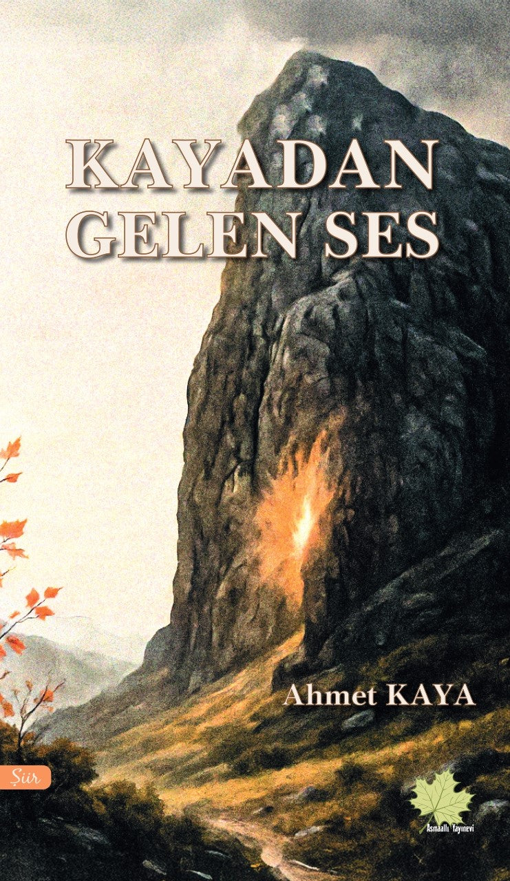 Kayadan Gelen Ses - Ahmet Kaya kitap kapağı