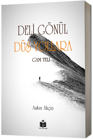 Deli Gönül Düş Yollara - Aşkın Akçin kitap kapağı