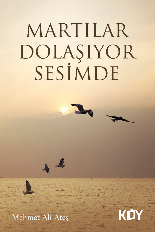 Martılar Dolaşıyor Sesimde - Mehmet Ali Ateş kitap kapağı