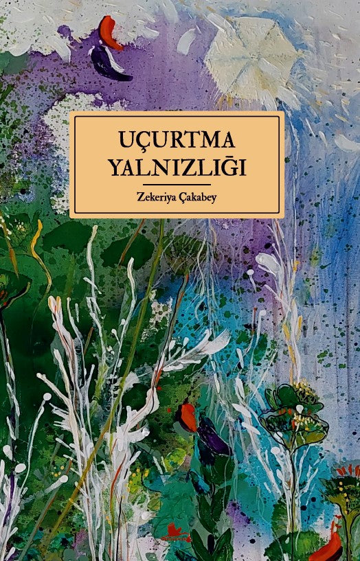 Uçurtma Yalnızlığı - Zekeriya Çakabey kitap kapağı