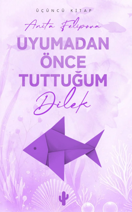 Uyumadan Önce Tuttuğum Dilek 3 - Anita Felipova kitap kapağı