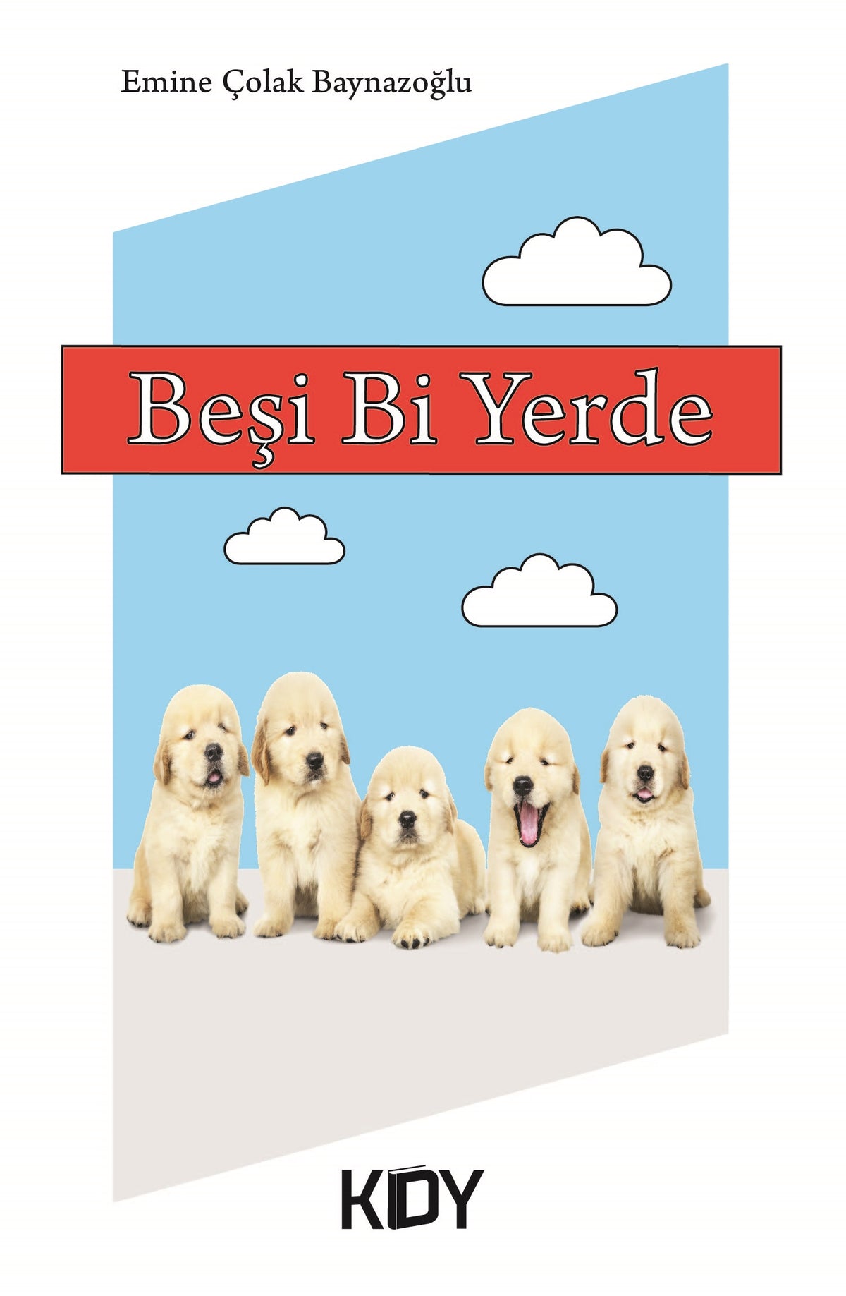 Beşi Bi Yerde - Emine Çolak Baynazoğlu kitap kapağı