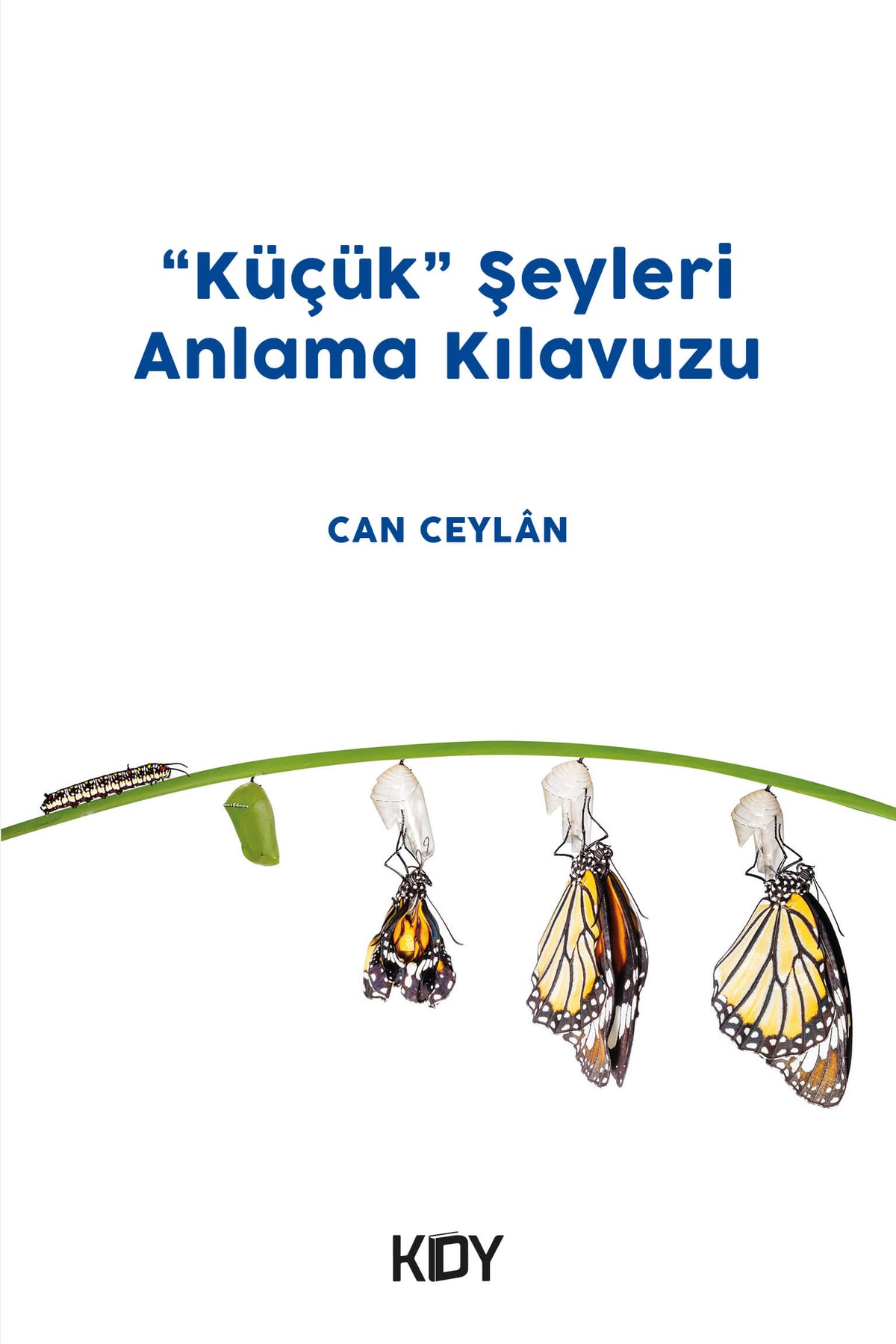 Küçük Şeyleri Anlama Kılavuzu - Can Ceylan kitap kapağı