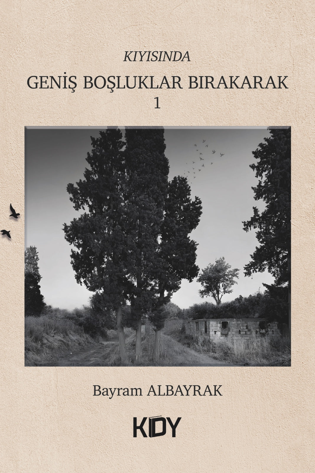 Geniş Boşluklar Bırakarak - Bayram Albayrak kitap kapağı