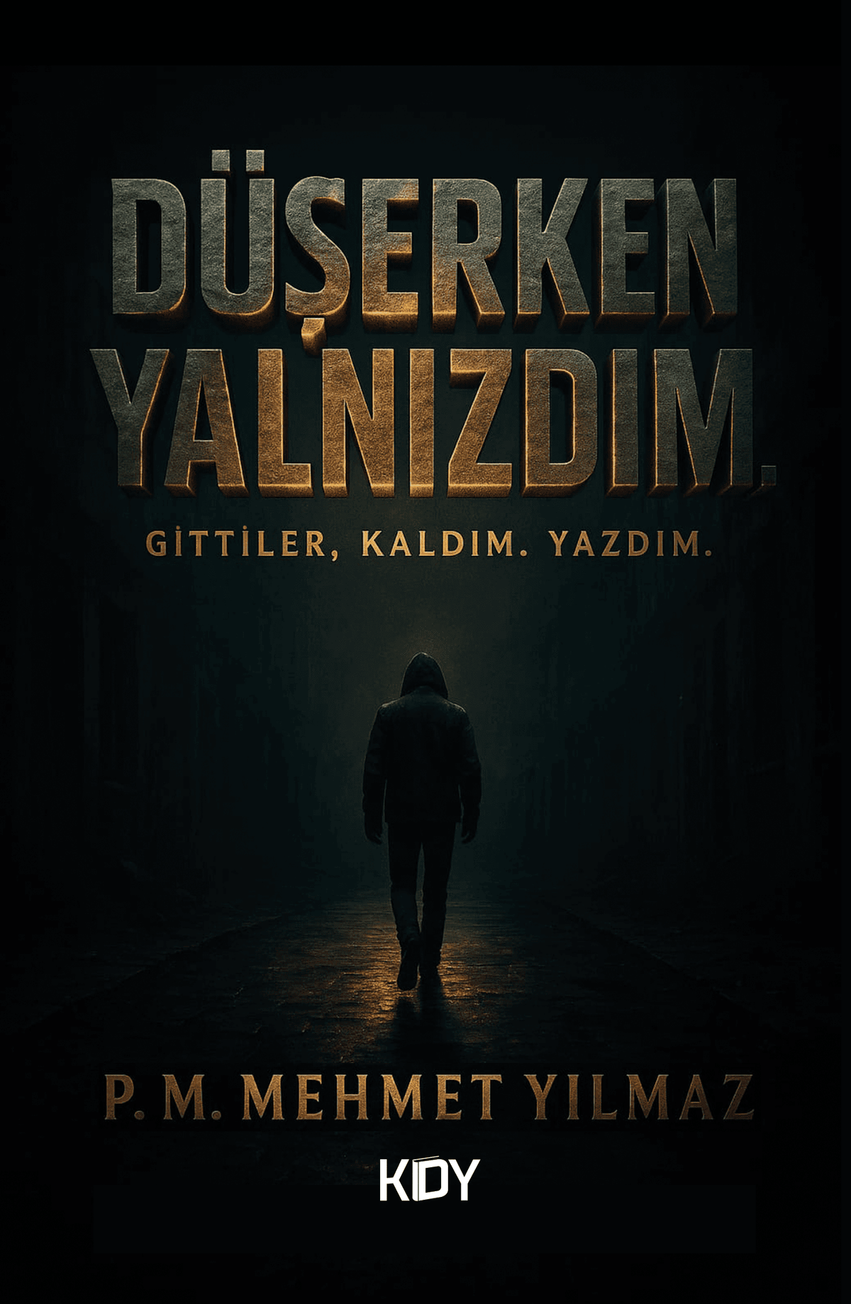 Düşerken Yalnızdım - P. M. Mehmet Yılmaz kitap kapağı