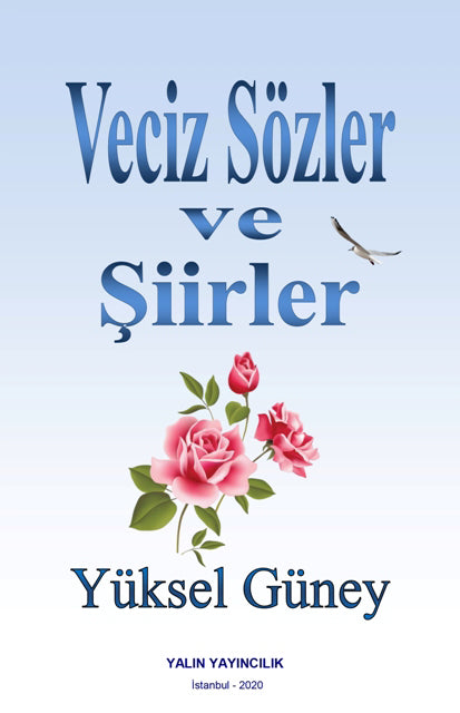 Veciz Sözler ve Şiirler - Yüksel Güney kitap kapağı