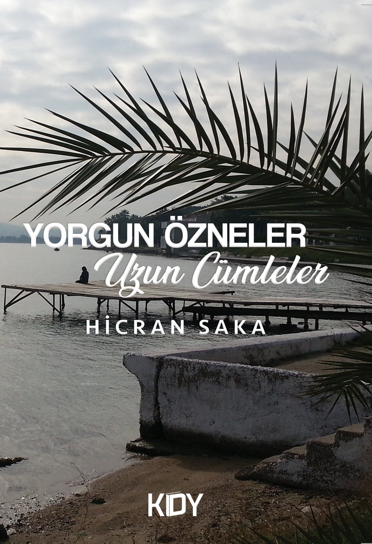 Yorgun Özneler Uzun Cümleler - Hicran Saka kitap kapağı