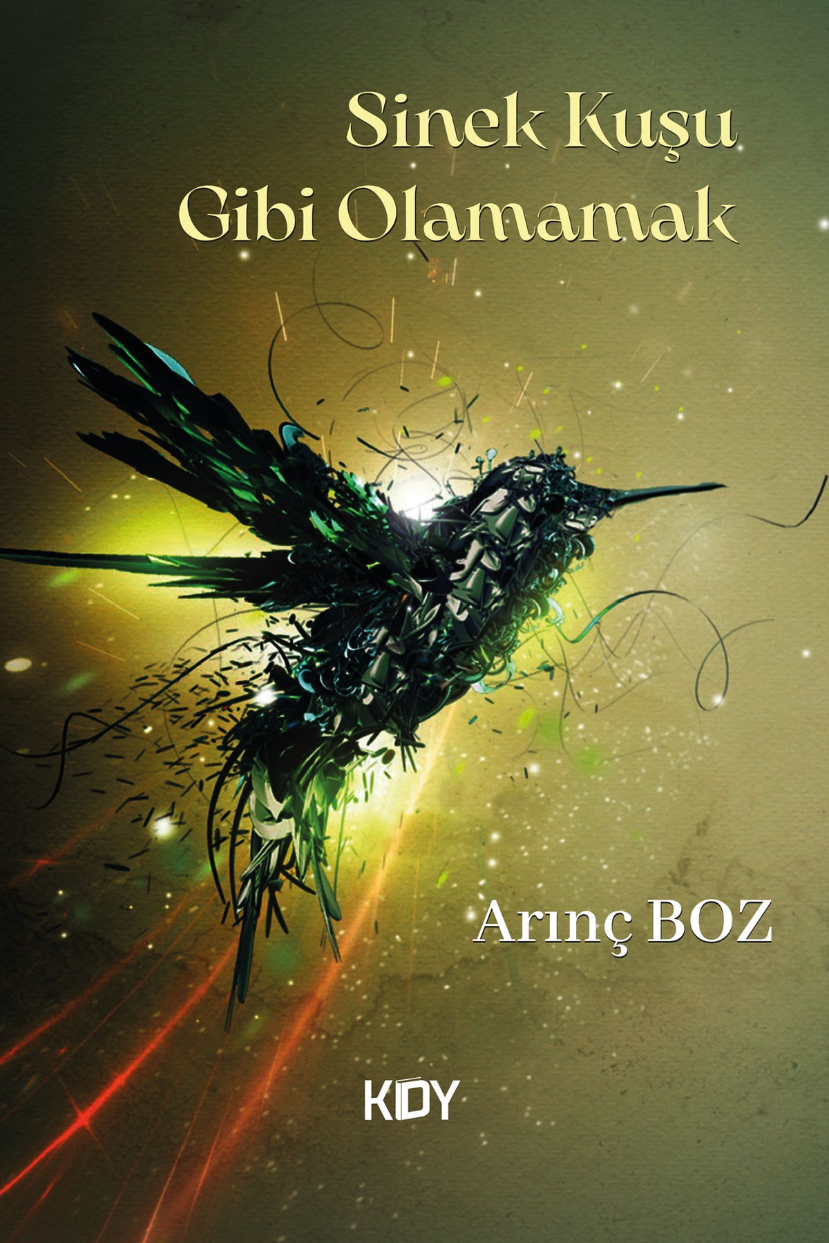 Sinek Kuşu Gibi Olamamak - Arınç Boz kitap kapağı