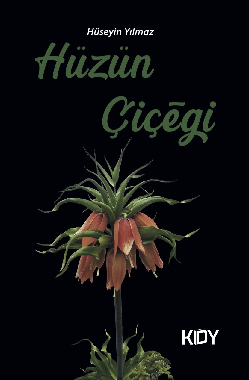 Hüzün Çiçeği - Hüseyin Yılmaz kitap kapağı