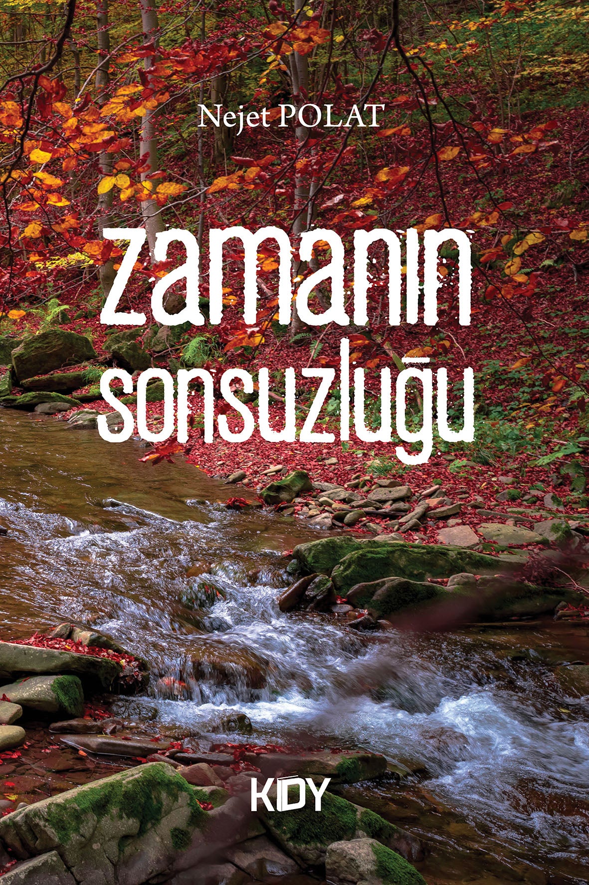 Zamanın Sonsuzluğu - Nejet Polat kitap kapağı