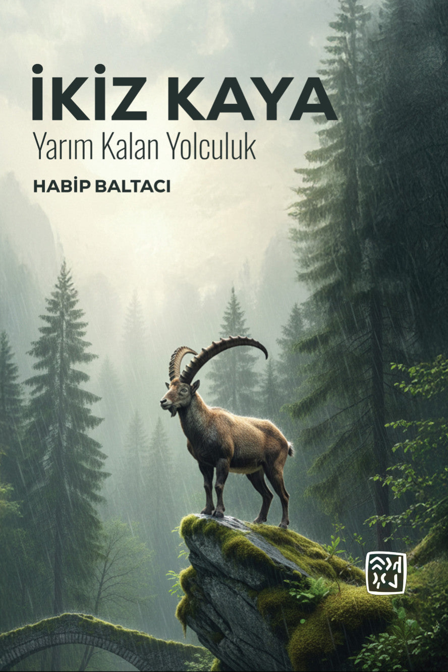 İkiz Kaya Yarım Kalan Yolculuk - Habip Baltacı kitap kapağı