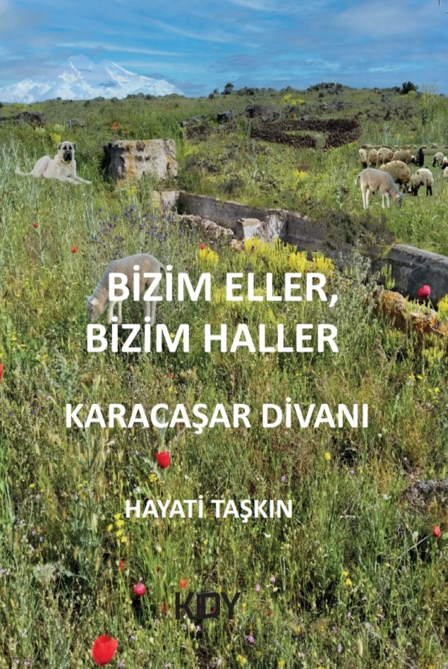 Bizim Eller Bizim Haller - Hayati Taşkın kitap kapağı