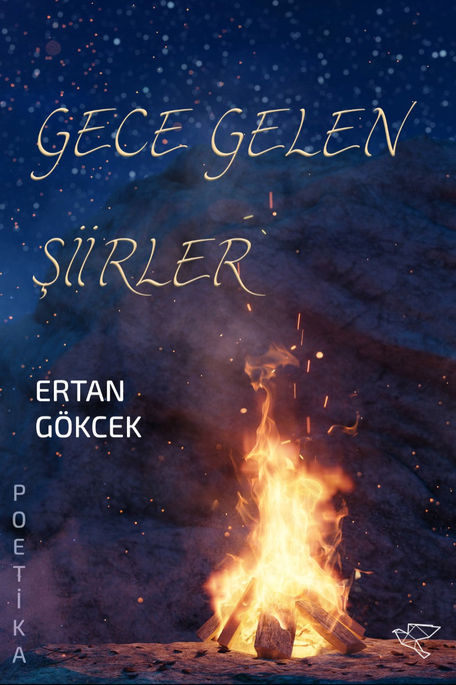 Gece Gelen Şiirler - Ertan Gökcek kitap kapağı