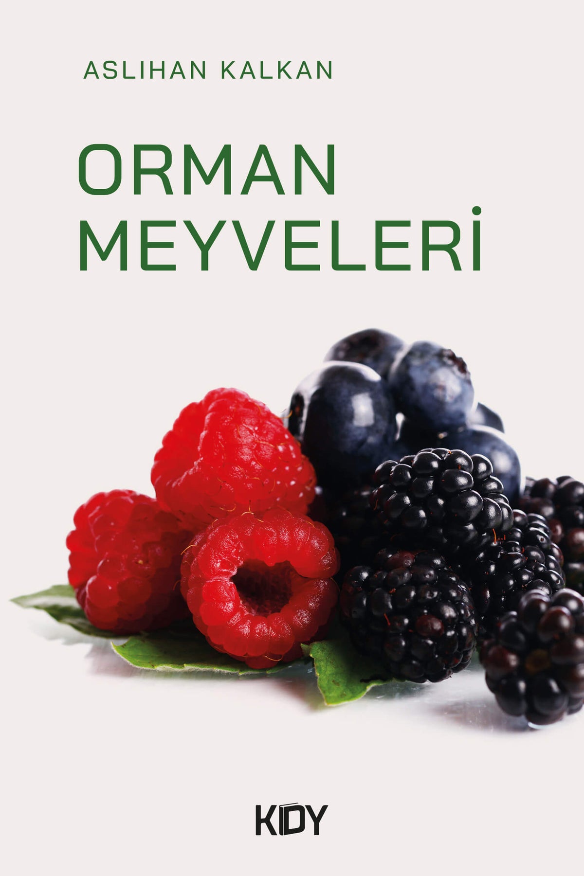 Orman Meyveleri - Aslıhan Kalkan kitap kapağı