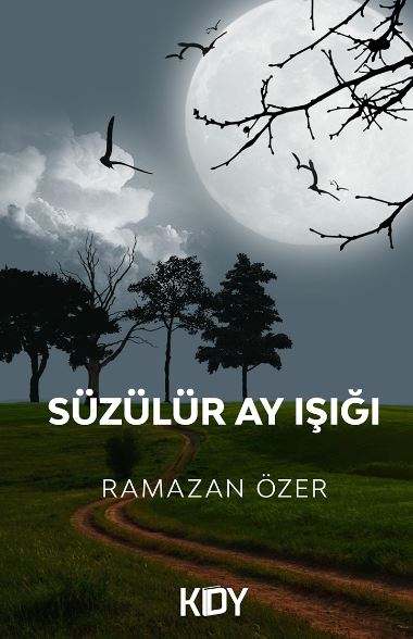 Süzülür Ay Işığı - Ramazan Özer kitap kapağı