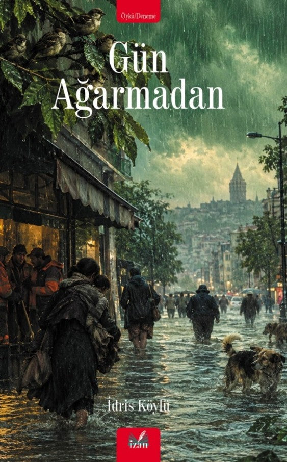 Gün Ağarmadan - İdris Köylü kitap kapağı