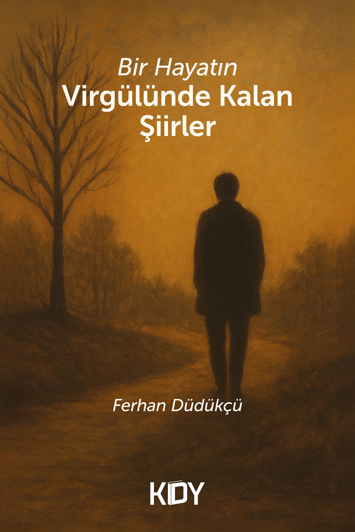 Bir Hayatın Virgülünde Kalan Şiirler - Ferhan Düdükçü kitap kapağı