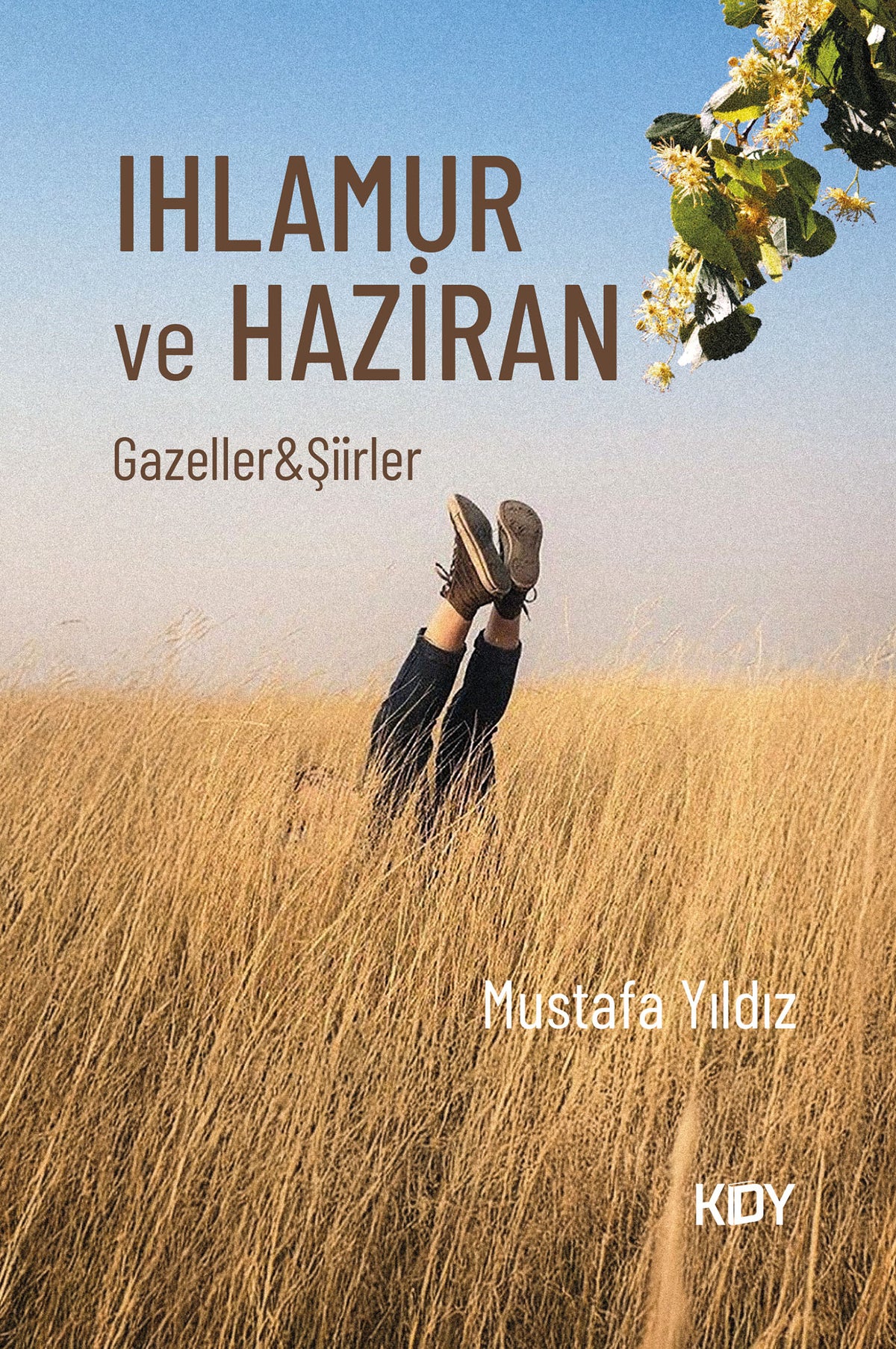 Ihlamur ve Haziran - Mustafa Yıldız kitap kapağı