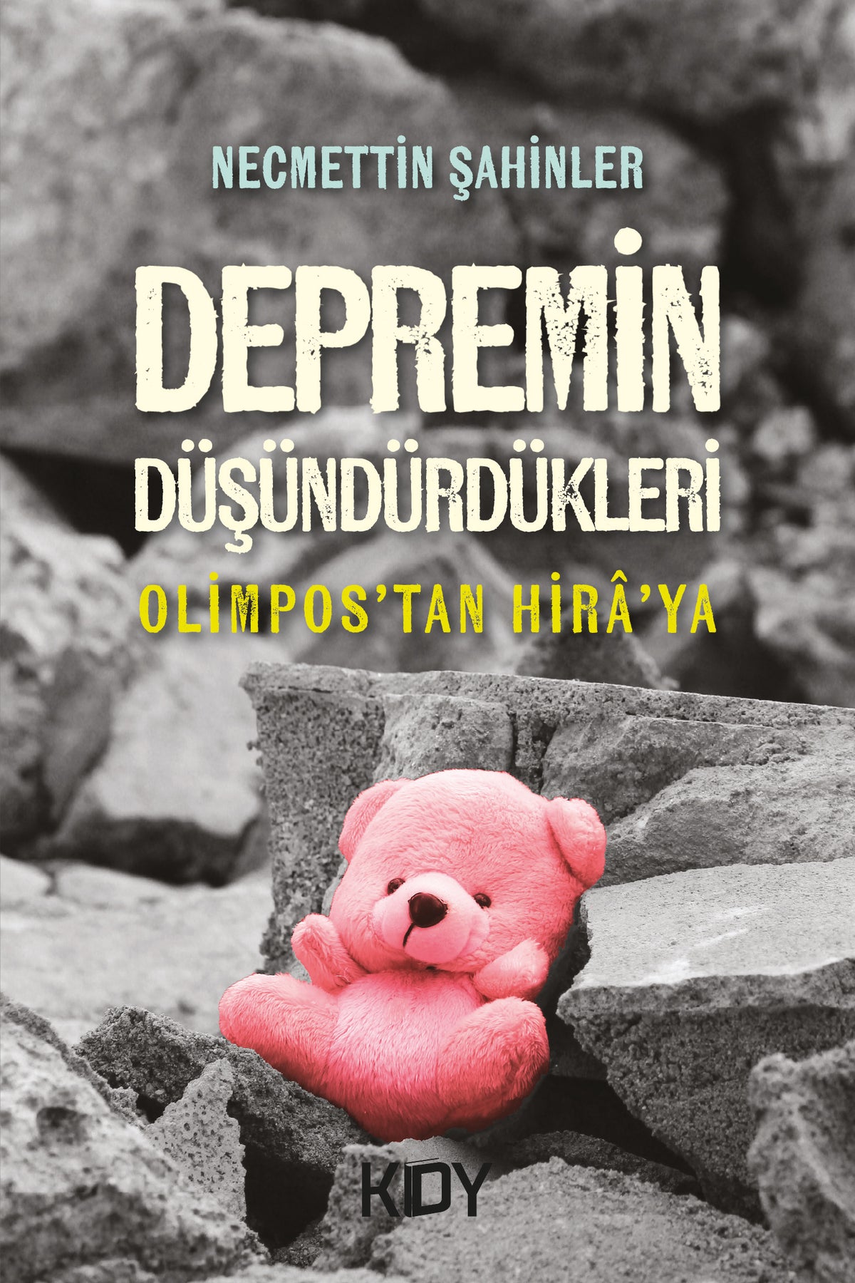 Depremin Düşündürdükleri - Necmettin Şahinler kitap kapağı