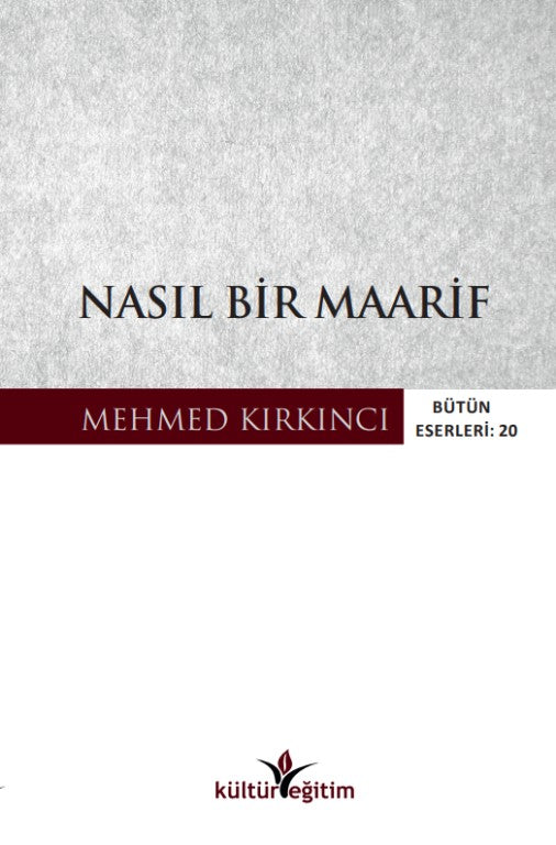 Nasıl Bir Maarif - Mehmed Kırkıncı kitap kapağı