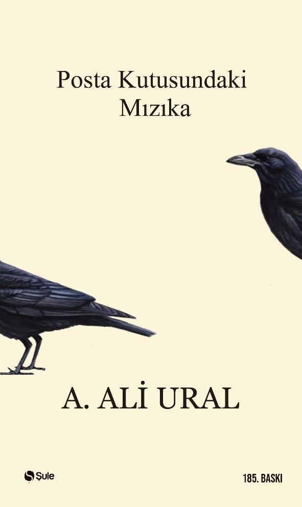 Posta Kutusundaki Mızıka - A. Ali Ural kitap kapağı