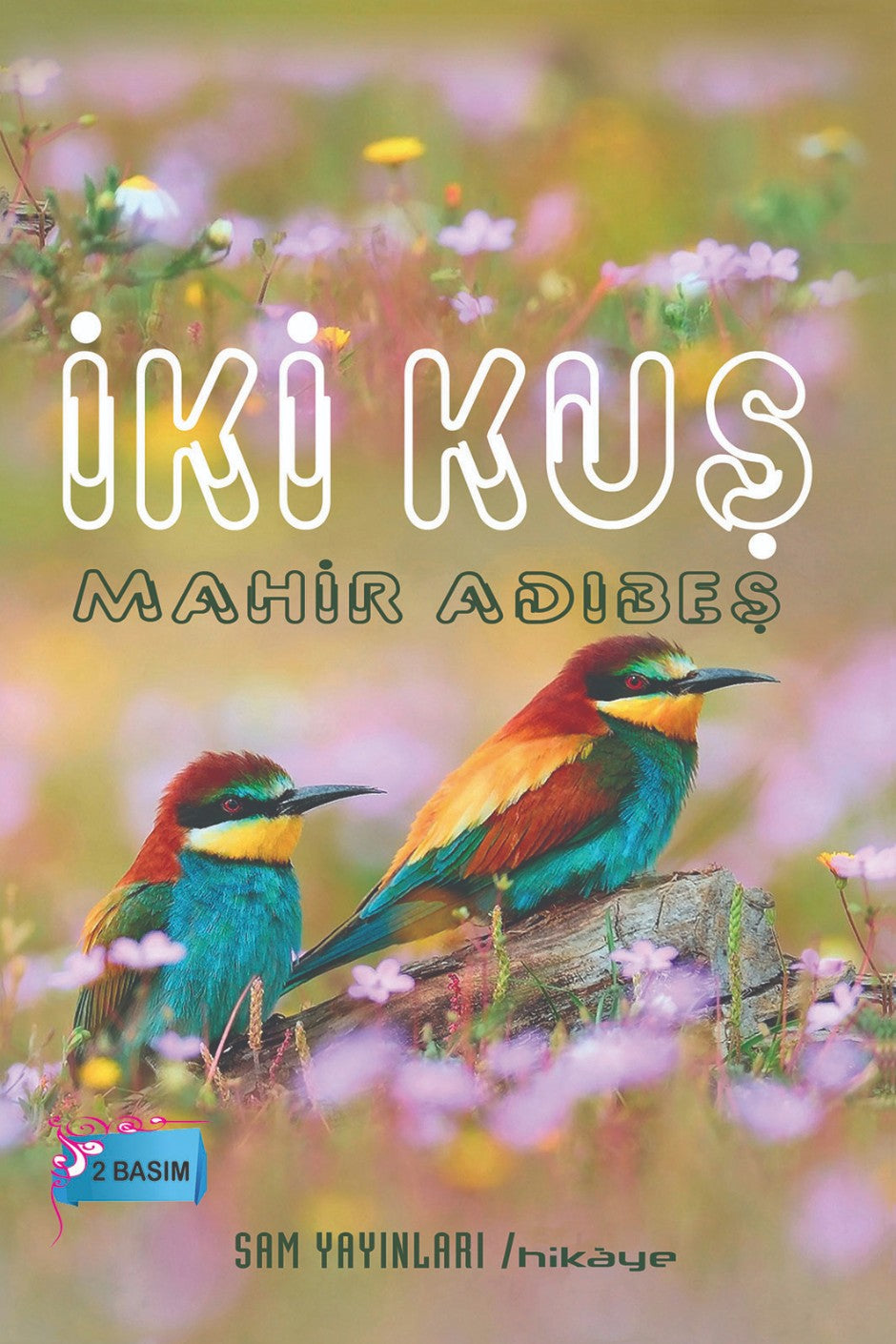 İki Kuş - Mahir Adıbeş kitap kapağı