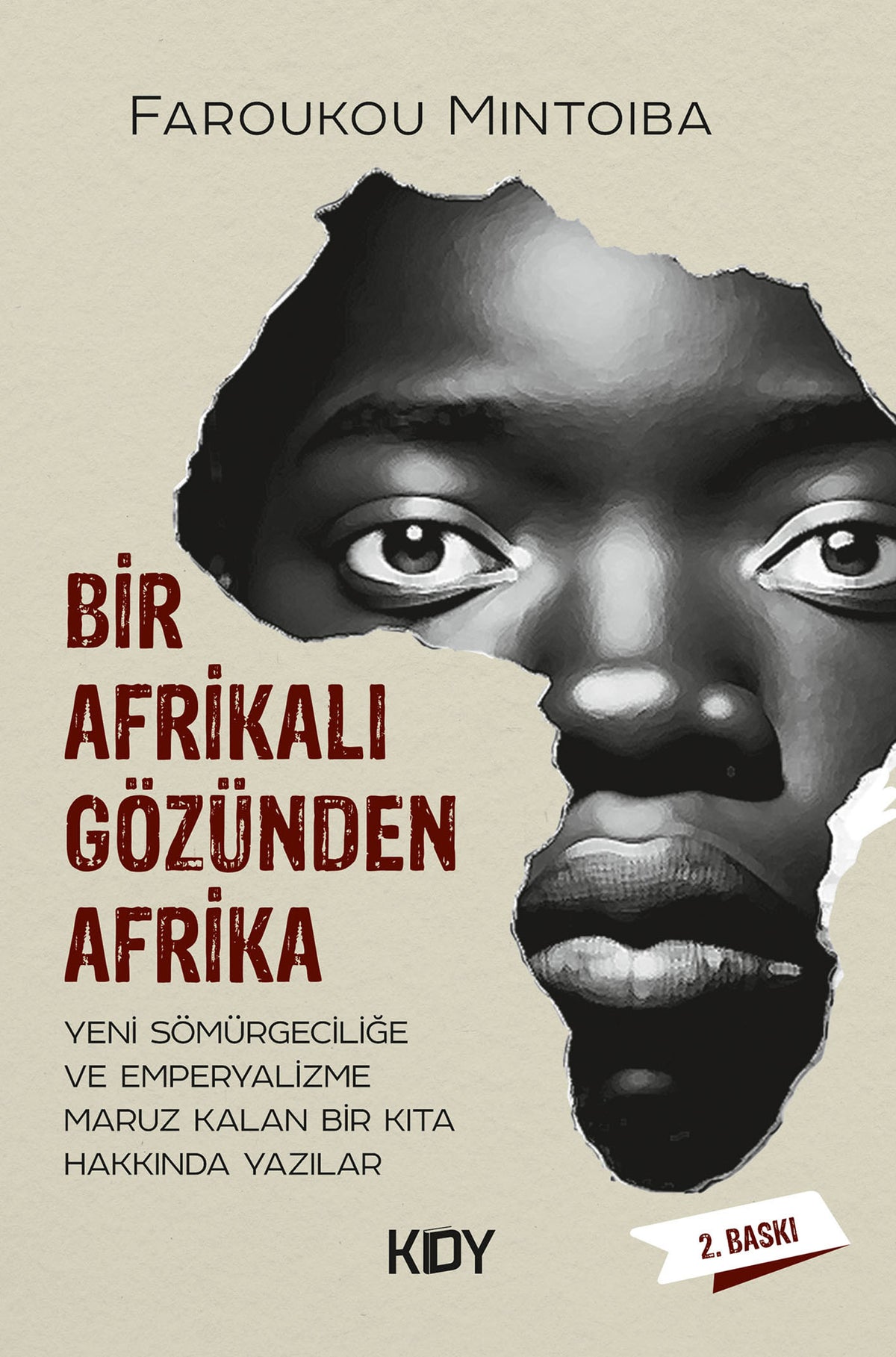 Bir Afrikalı Gözünden Afrika - Faroukou Mintoiba kitap kapağı