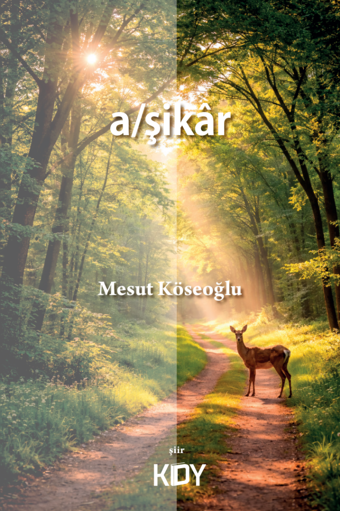 a/şikar - Mesut Köseoğlu kitap kapağı