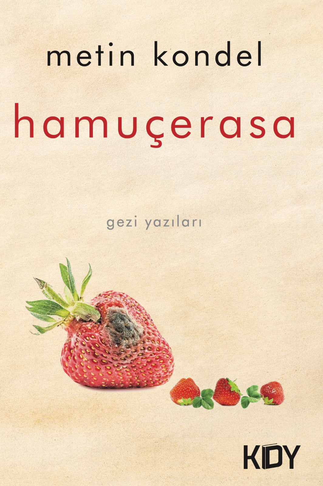 Hamuçerasa - Metin Kondel kitap kapağı