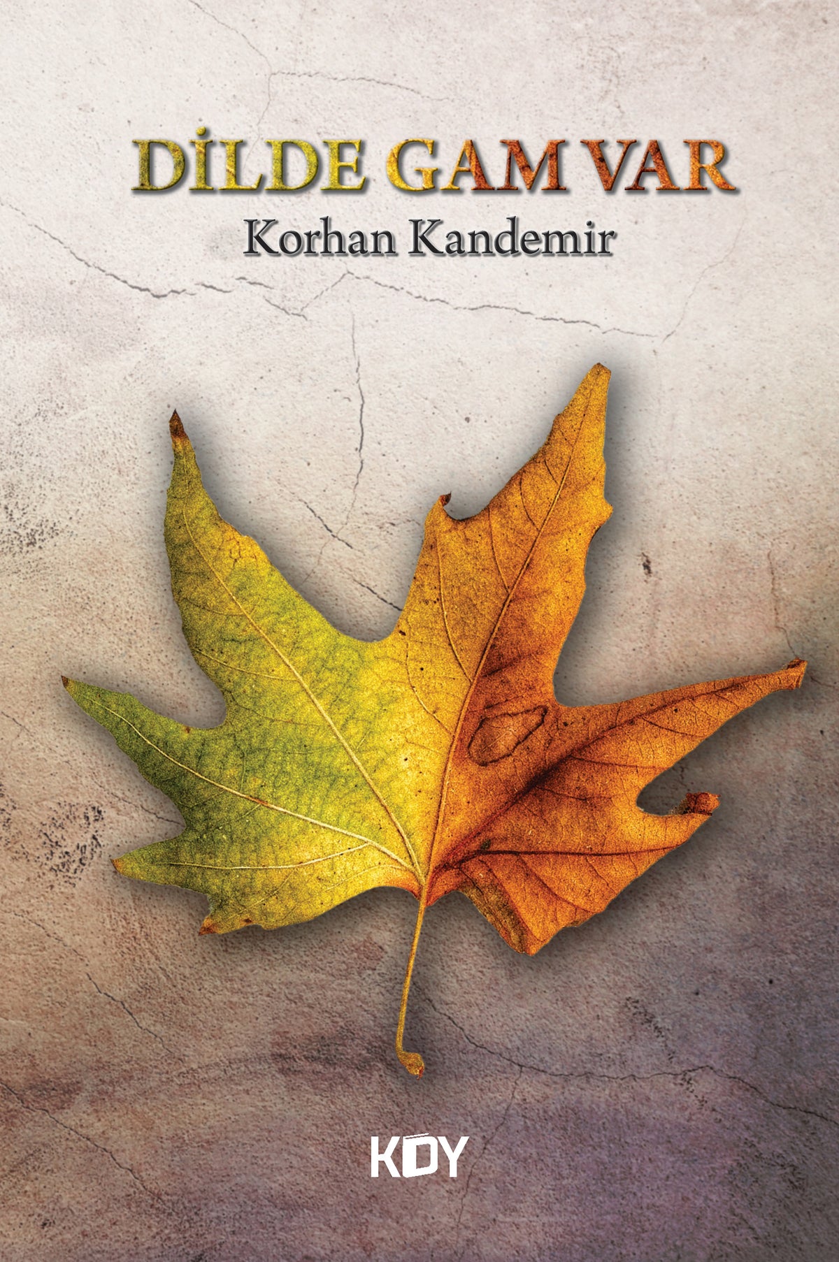 Dilde Gam Var - Korhan Kandemir kitap kapağı