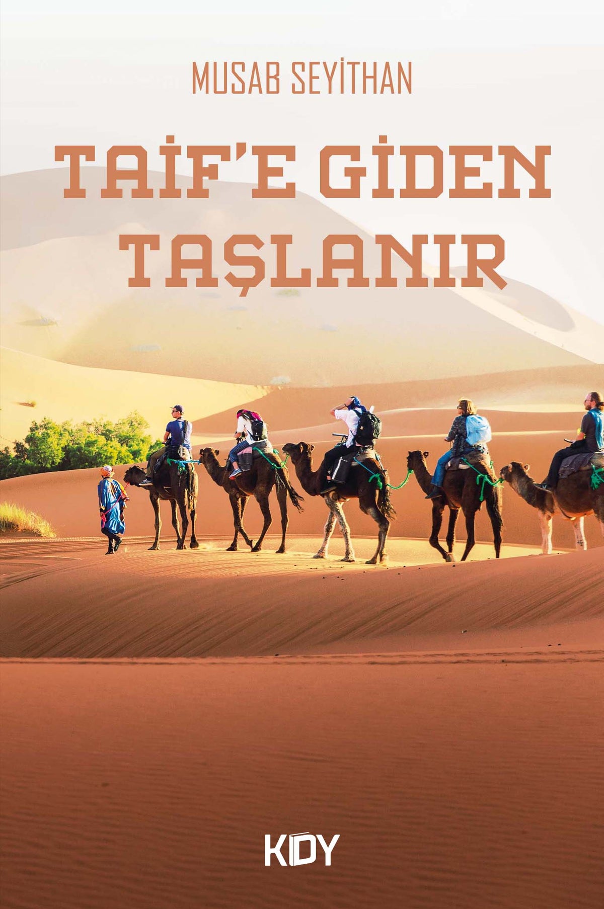 Taif'e Giden Taşlanır - Musab Seyithan kitap kapağı