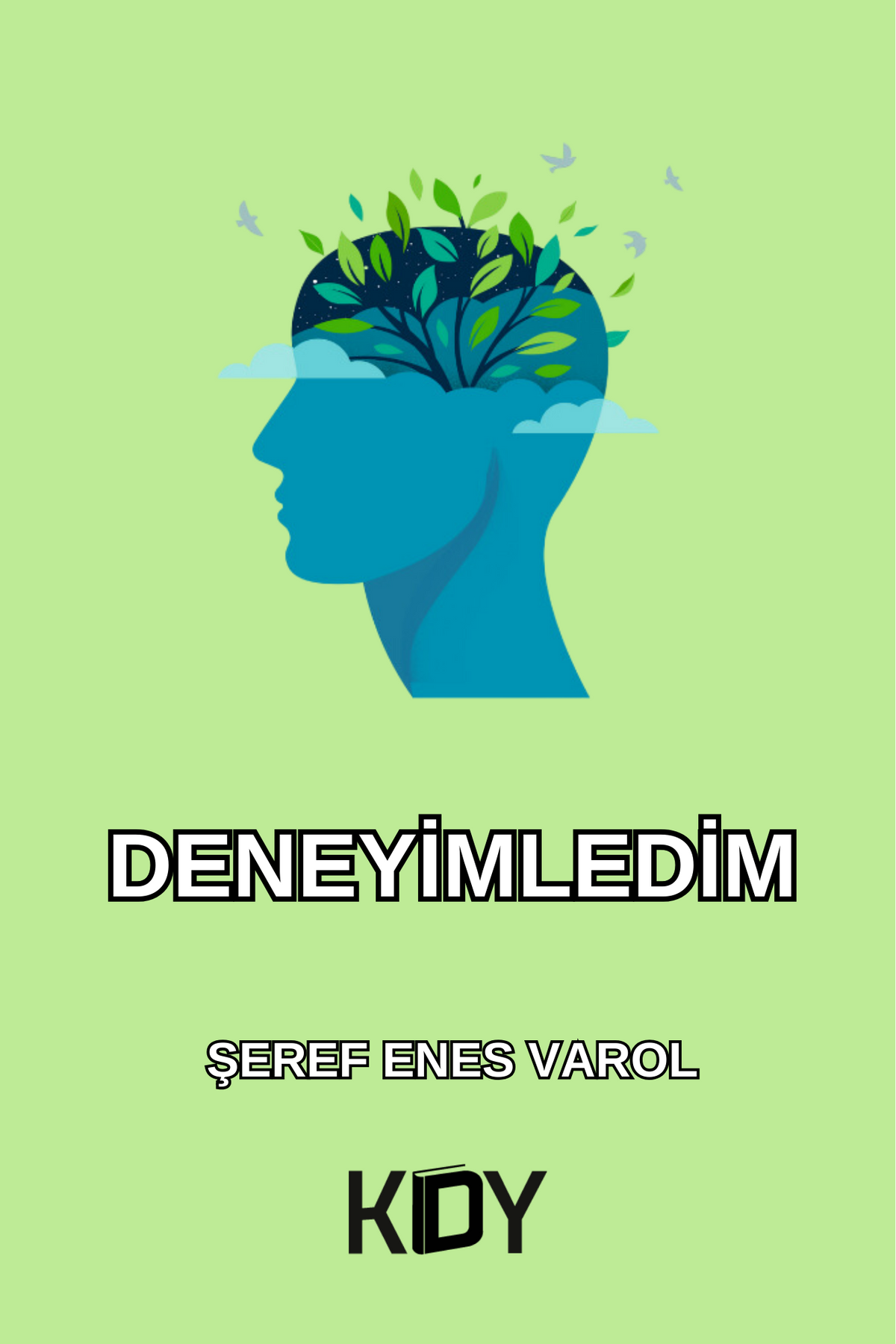 Deneyimledim - Şeref Enes Varol kitap kapağı