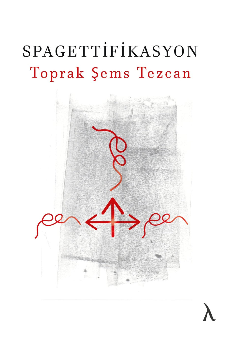 Spagettifikasyon - Toprak Şems Tezcan kitap kapağı