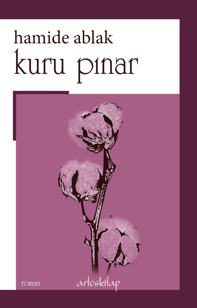 Kuru Pınar - Hamide Ablak kitap kapağı