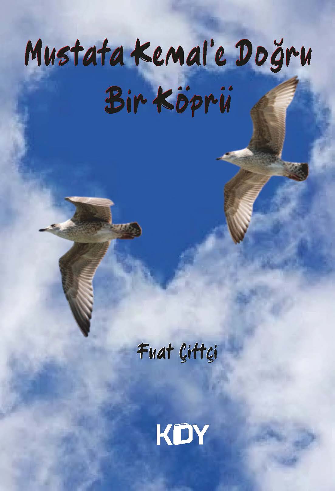 Mustafa Kemal'e Doğru Bir Köprü - Fuat Çiftçi kitap kapağı