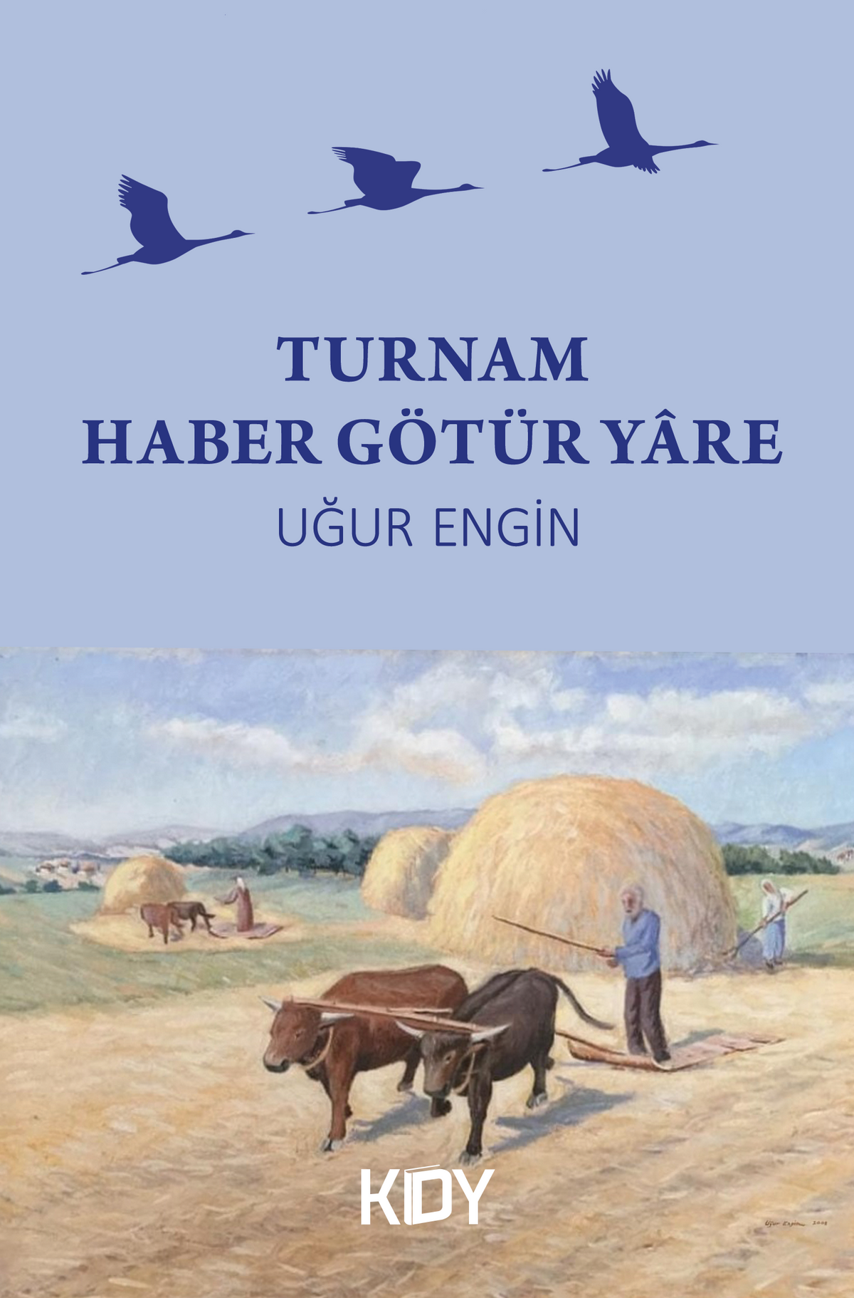 Turnam Haber Götür Yare - Uğur Engin kitap kapağı