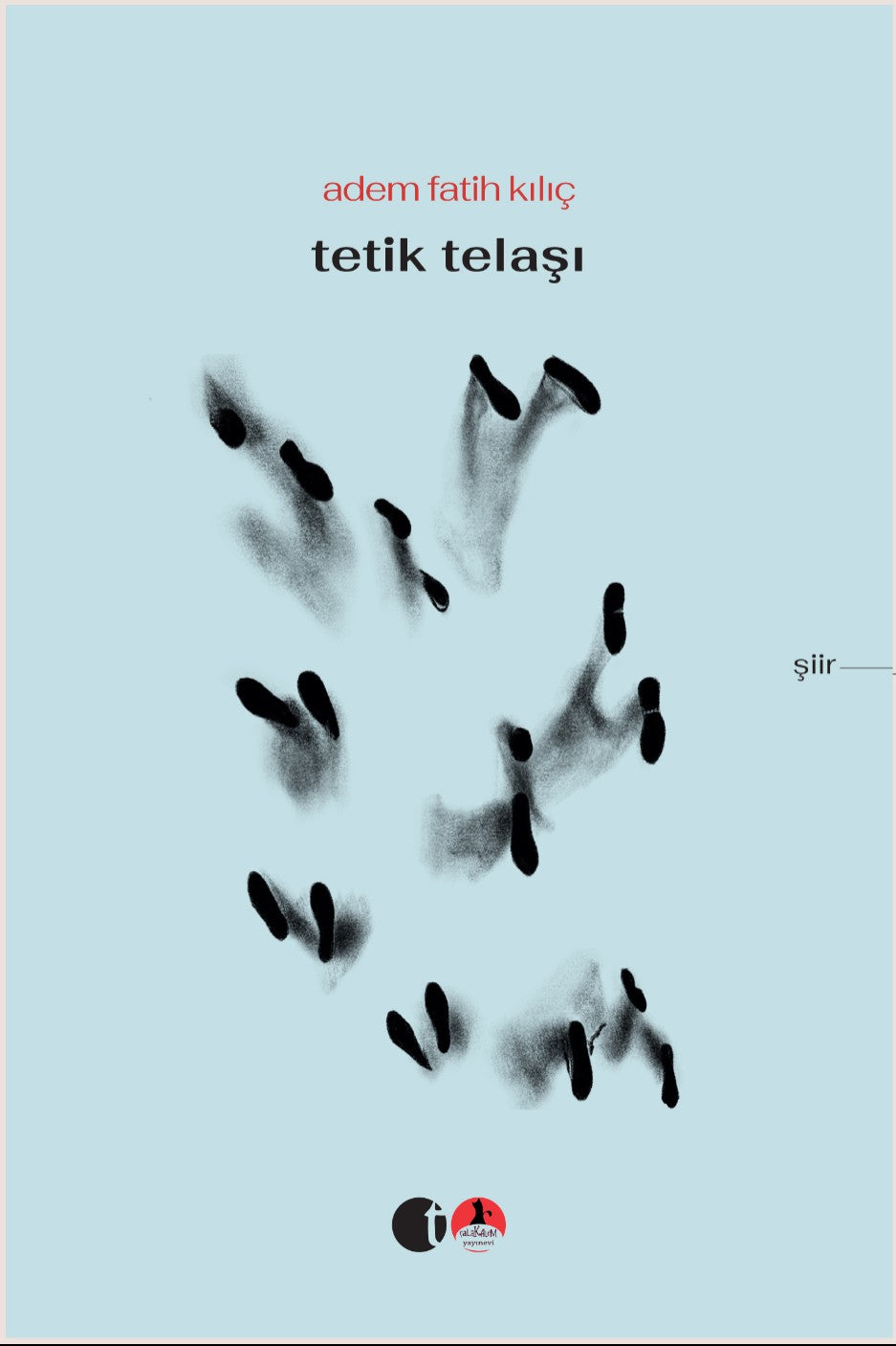 Tetik Telaşı - Adem Fatih Kılıç kitap kapağı