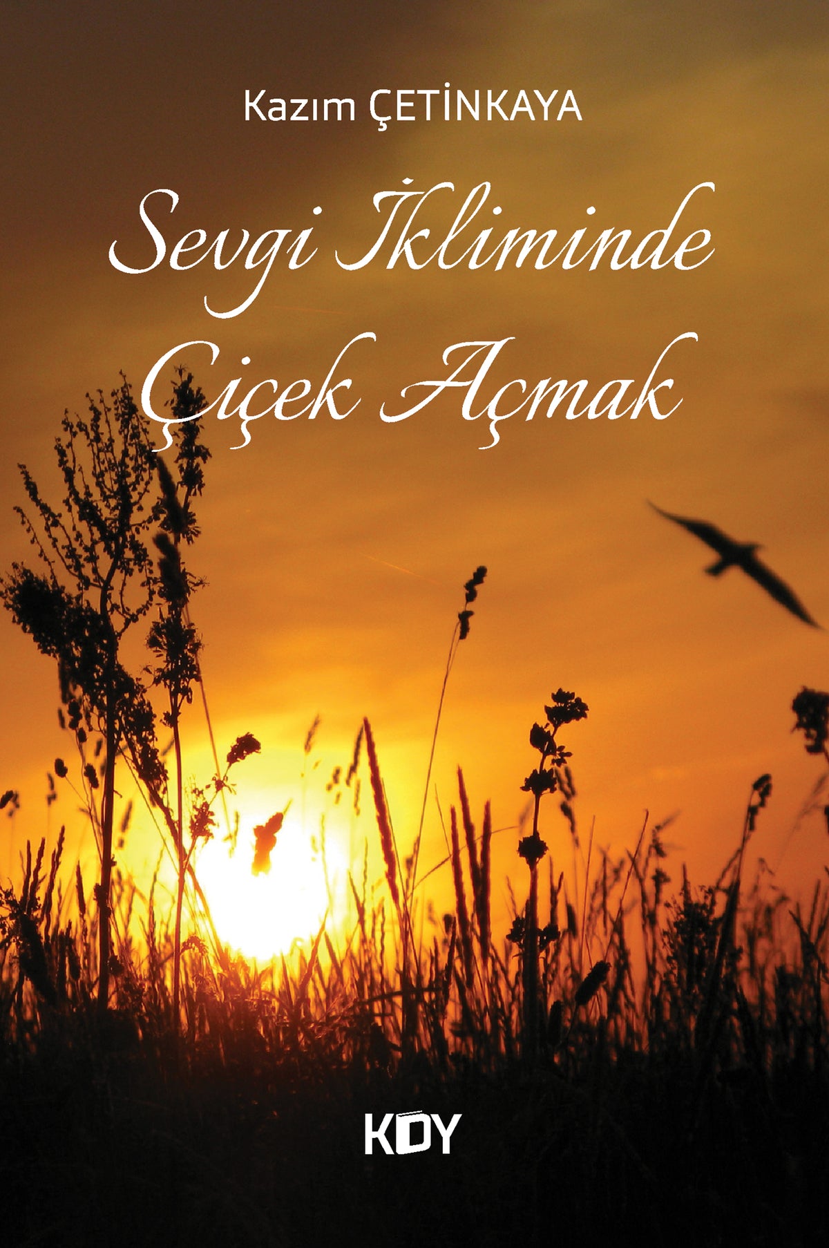 Sevgi İkliminde Çiçek Açmak - Kazım Çetinkaya kitap kapağı