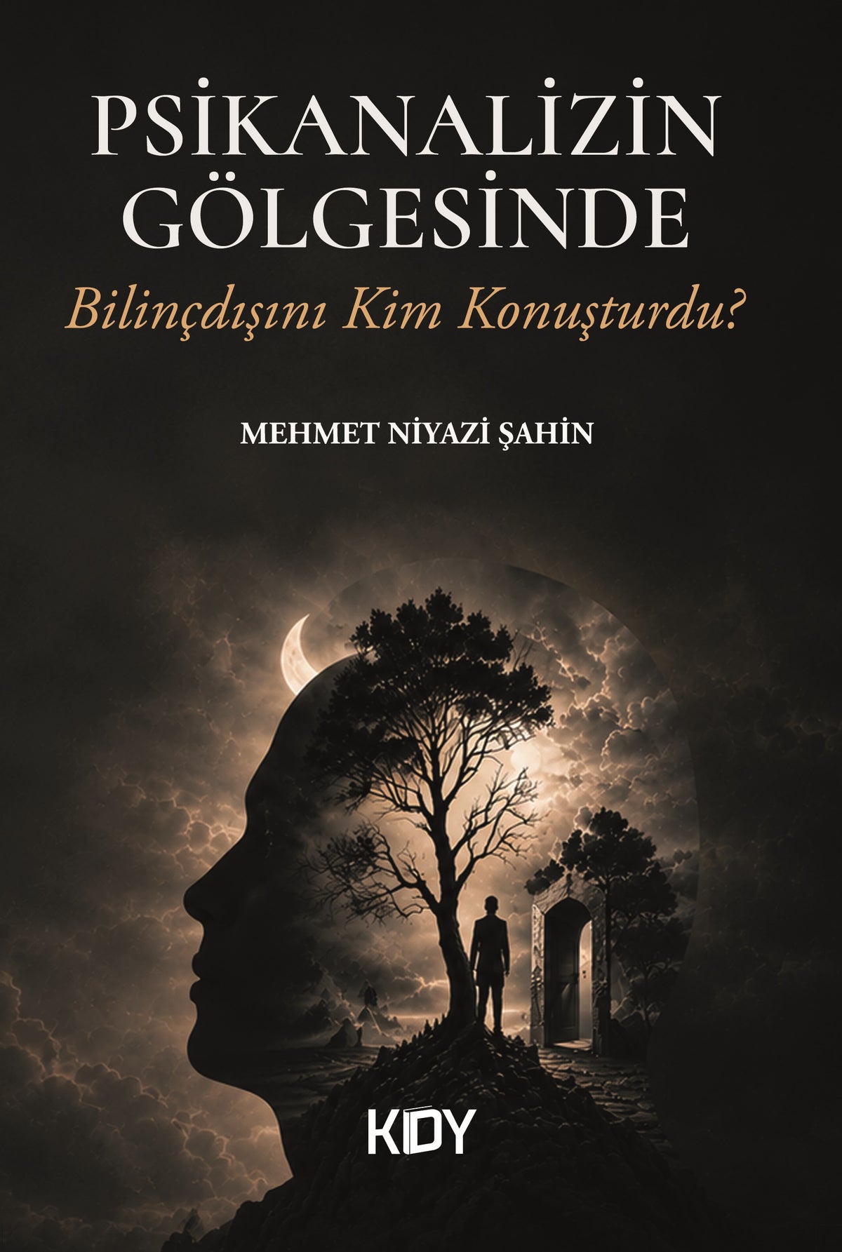 Psikanalizin Gölgesinde - Mehmet Niyazi Şahin kitap kapağı