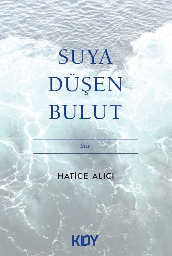 Suya Düşen Bulut - Hatice Alıcı kitap kapağı
