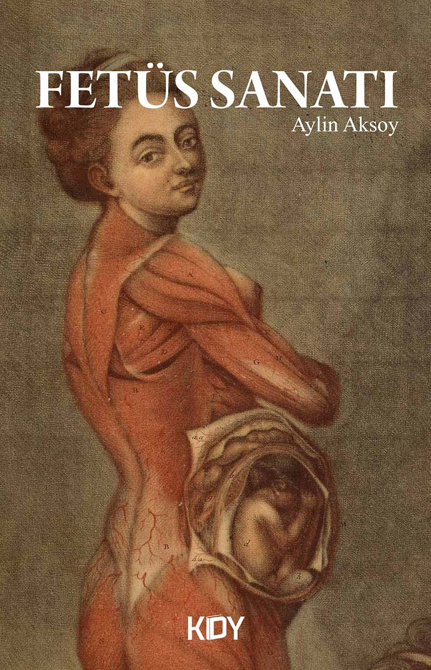 Fetüs Sanatı - Aylin Aksoy kitap kapağı