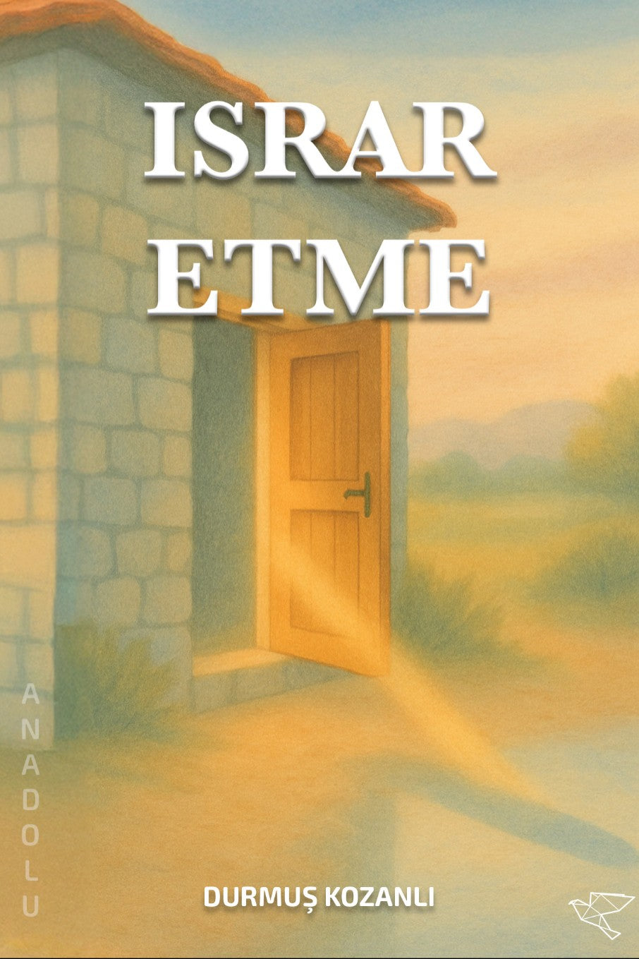 Israr Etme - Durmuş Kozanlı kitap kapağı