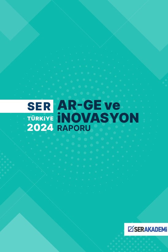SER Türkiye 2024 Ar-Ge ve İnovasyon Raporu - Ömer Özdinç kitap kapağı
